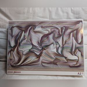 Bgraamiens Brain Games 1000 Piece Puzzle Twisted Lines